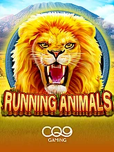 CQ9